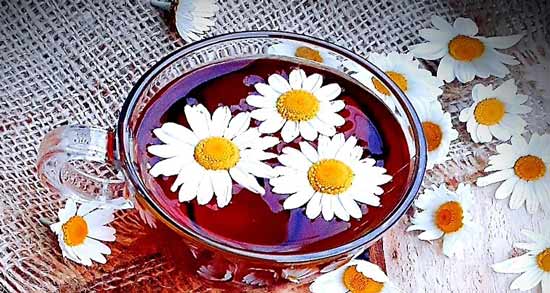 دمنوش بابونه برای رفلاکس معده نی نی سایت ؛ فواید مصرف دمنوش بابونه برای رفلاکس معده