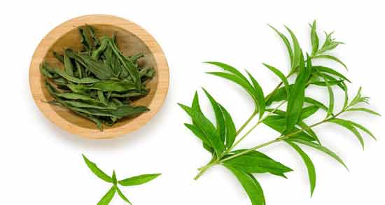 دمنوش به لیمو با چی خوبه همه چیز درباره روش صحیح مصرف دمنوش به لیمو