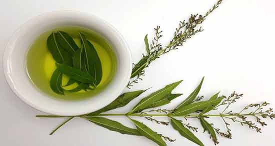دمنوش به لیمو برای تیروئید خوبه خاصیت خوردن دمنوش به لیمو برای درمان تیروئید