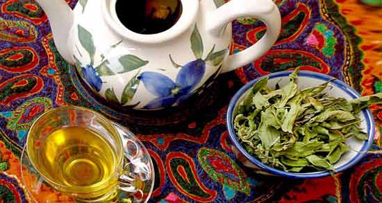 دمنوش به لیمو در شیردهی نی نی سایت ؛ تاثیر خوردن دمنوش به لیمو برای شیر مادر