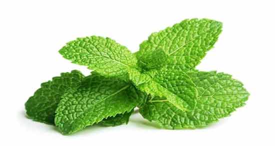 دمنوش نعناع و هل همه چیز درباره خاصیت درمانی خوردن نعناع و هل