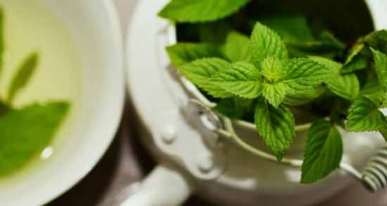 دمنوش پونه برای اسهال نی نی سایت خواص و مضرات مصرف دمنوش پونه برای اسهال