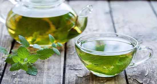 دمنوش پونه برای عفونت کودکان و بررسی فواید خوردن دمنوش پونه برای درمان عفونت کودکان دمنوش پونه برای عفونت کودکان و بررسی فواید خوردن دمنوش پونه برای درمان عفونت کودکان