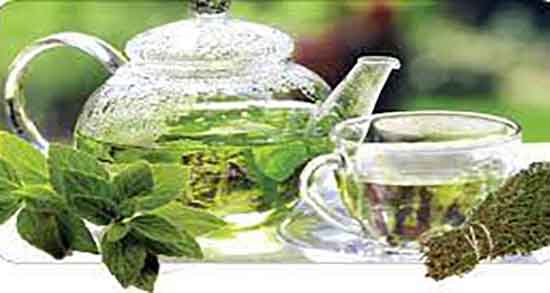 دمنوش پونه در ماه آخر بارداری خواص دمنوش پونه برای جنین زنان باردار