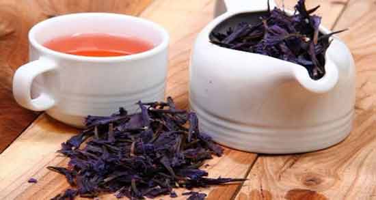 دمنوش گل گاوزبان و دارچین و زنجبیل ؛ آشنایی با خاصیت درمانی مصرف این معجون