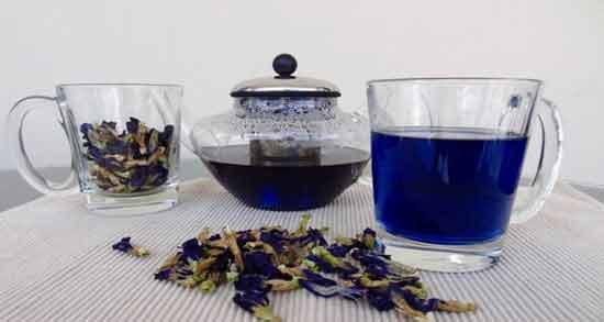 دمنوش گل گاوزبان و گل محمدی ؛ آشنایی با خاصیت خوردن دمنوش گل گاوزبان و گل محمدی