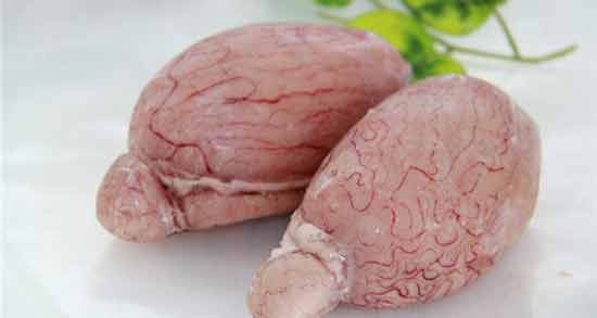 دنبلان گوسفندی چیست ؛ همه چیز درباره دنبلان گوسفندی و خواص آن