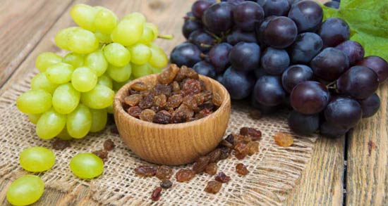 دیابتی ها انگور بخورند ؛ خواص و مضرات خوردن انگور برای افراد دیابتی