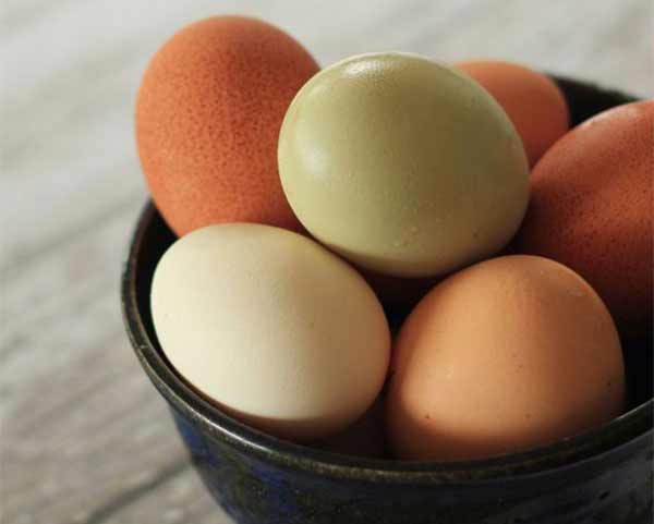 دیدن تخم مرغ در خواب چیست + معنی تخم مرغ از نظر امام صادق چیست