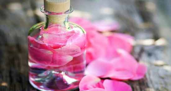 روایات در مورد گلاب ؛ بررسی روایات و احادیث مختلف درباره خواص گلاب