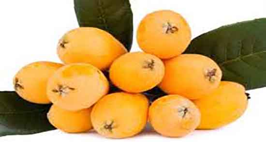 روش نگهداری میوه ازگیل ؛ نحوه نگهداری از میوه ازگیل به روش سنتی