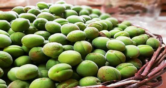 روش نگهداری چغاله بادام برای مدت طولانی ؛ چگونه از چغاله بادام برای مدت طولانی نگهداری کنیم؟