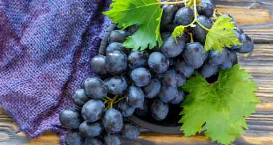 رژیم انگور یک هفته ای ؛ خاصیت خوردن انگور برای لاغر شدن