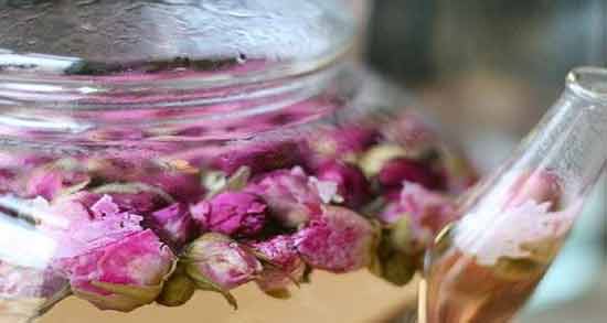 زمان مصرف دمنوش گل محمدی روش صحیح استفاده از دمنوش گل محمدی