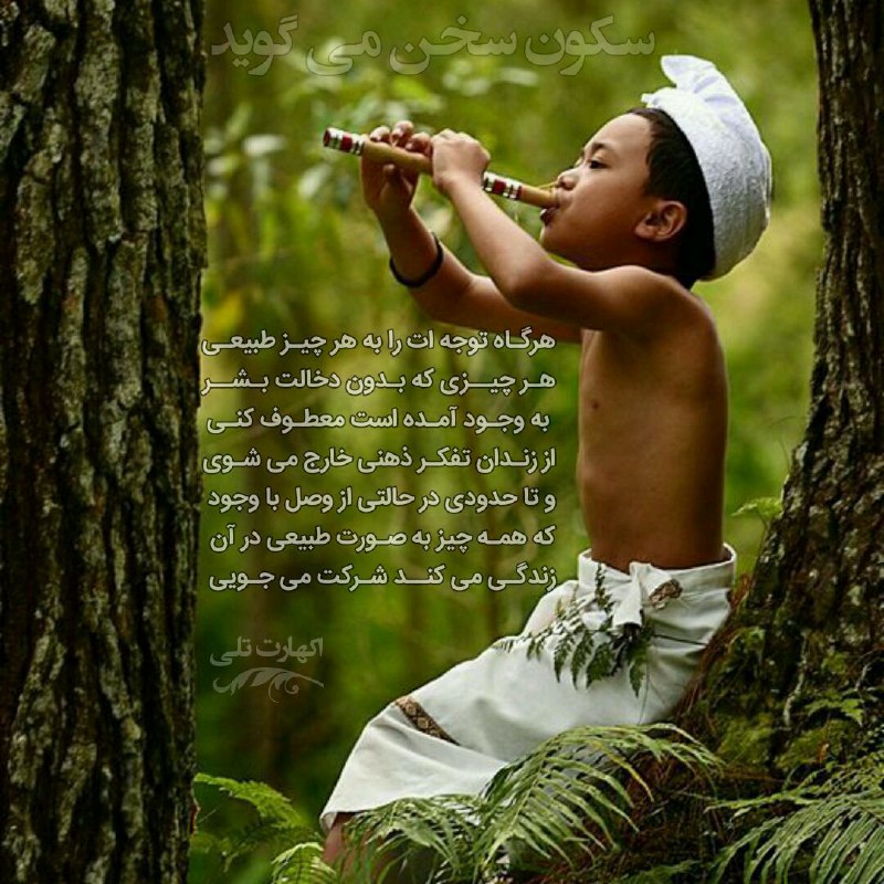 سخنان اکهارت تولی نویسنده و معلم معنوی آلمانی + جملات معنوی آموزنده