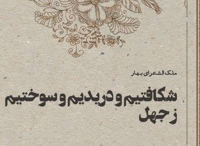 سخنان زیبا در مورد افراد نادان و جملات سنگین درباره انسان احمق