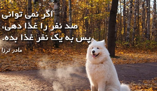 سخنان مادر ترزا؛ جملات ارزشمند و با مفهوم درباره زندگی