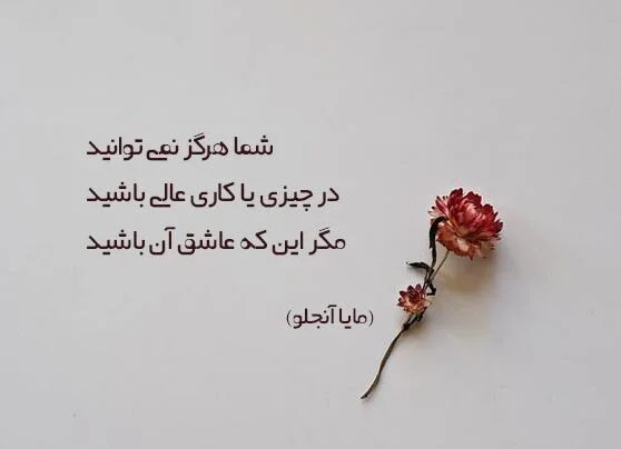 سخنان مایا آنجلو بازیگر و فعال حقوق مدنی (جملات خاص آموزنده و نقل قول زیبا)