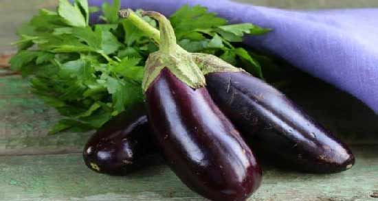 سم موجود در بادمجان ؛ چه نوع سمی در بادمجان وجود دارد