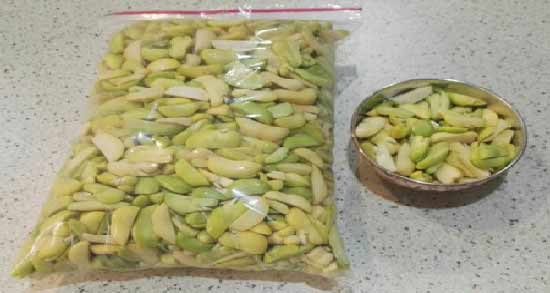 سمی شدن باقلا در فریزر ؛ اصول صحیح نگه داری باقلا در فریزر