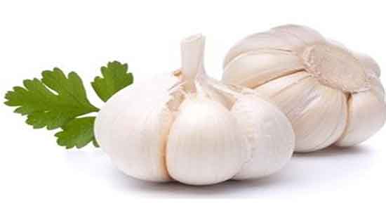 سیر برای تیروئید پرکار خاصیت مصرف سیر خام برای کنترل تیروئید پرکار
