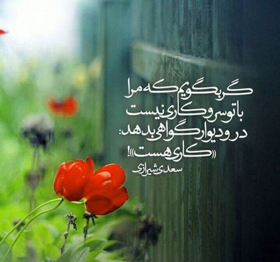 شاه بیت های عاشقانه ناب شاعران معروف (اشعار ناب احساسی) شاه بیت های عاشقانه ناب شاعران معروف (اشعار ناب احساسی)