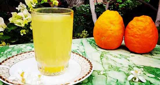 شربت بهار نارنج در بارداری نی نی سایت ؛ خواص و مضرات خوردن شربت بهار نارنج در بارداری