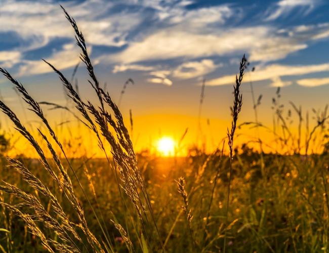 شعر تابستان | گلچین اشعار کوتاه و بلند فصل زیبای تابستان