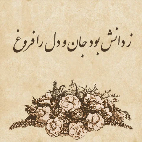 شعر درباره علم و دانش + گزیده ای از اشعار شاعران بزرگ در مورد علم