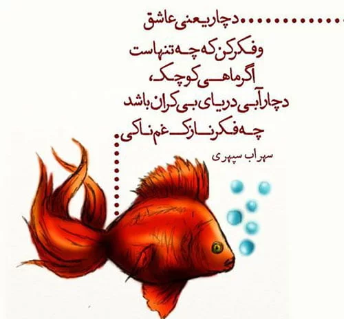 شعر درباره ماهی؛ اشعار عاشقانه زیبا درباره ماهی و دریا