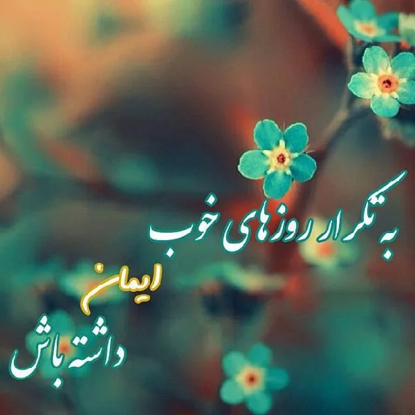 شعر روز خوب؛ اشعار زیبا درباره روزهای خوب و زیبا