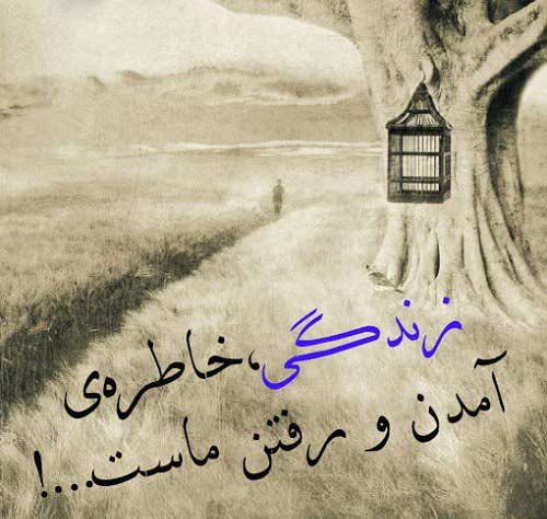 شعر زندگی + مجموعه اشعار زیبا در مورد زندگی سخت و ساده از بزرگان