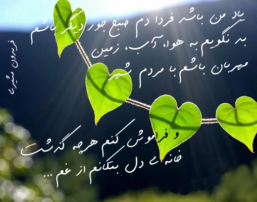 شعر شاد + مجموعه اشعار کوتاه و بلند با موضوع شادی و خوشحالی