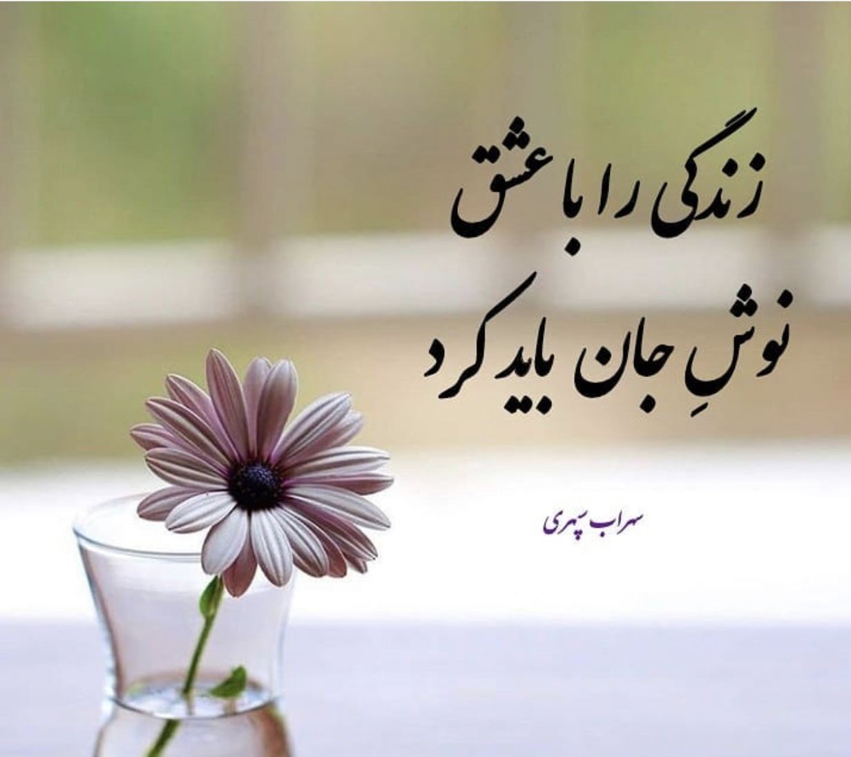 شعر نو در مورد زندگی و زیباترین اشعار درباره زندگی