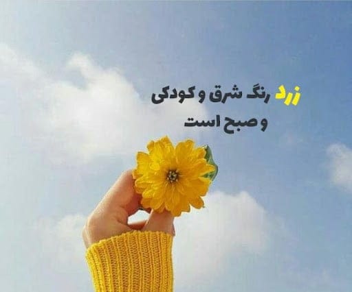 شعر و متن درباره رنگ زرد ( جملات احساسی در مورد رنگ زرد )