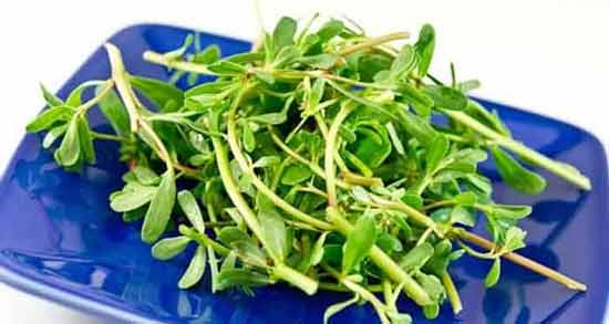 شیره خرفه در بارداری ؛ خواص و مضرات خوردن شیره خرفه برای زن باردار