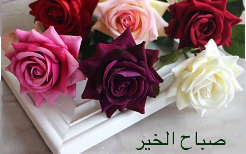 صبح بخیر عربی با ترجمه فارسی؛ 40 متن صباح الخیر یا صبحت بخیر عربی