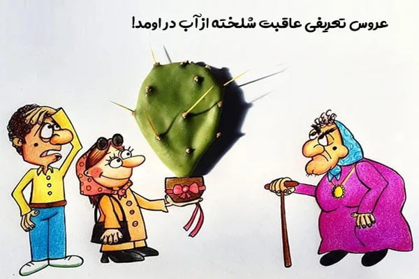 ضرب المثل ازدواج؛ 100 ضرب المثل با مزه درباره ازدواج، عروس و داماد