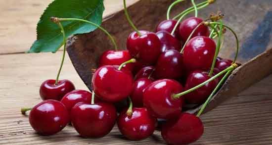 طبع آلبالو و گیلاس ؛ طبیعت آلبالو و گیلاس سرد است یا گرم؟