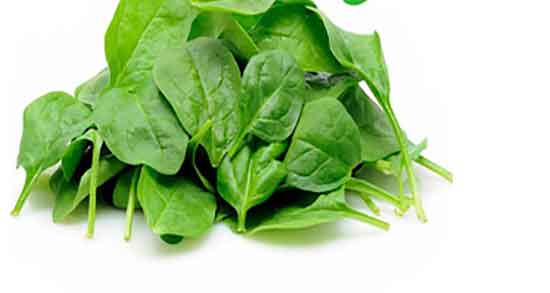 طبع اسفناج در طب سنتی ؛ ایا طبع اسفناج از نظر طب سنتی برای بدن گرمه