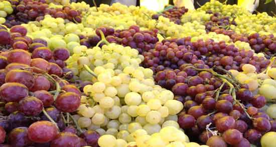 طبع انگور و خربزه ؛ آشنایی با طبیعت انگور و خربزه