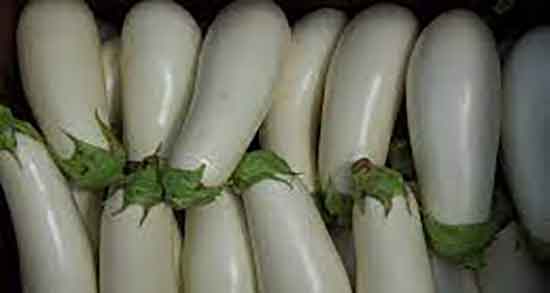 طبع بادمجان سفید ؛ ایا طبع بادمجان سفید برای بدن انسان گرم است