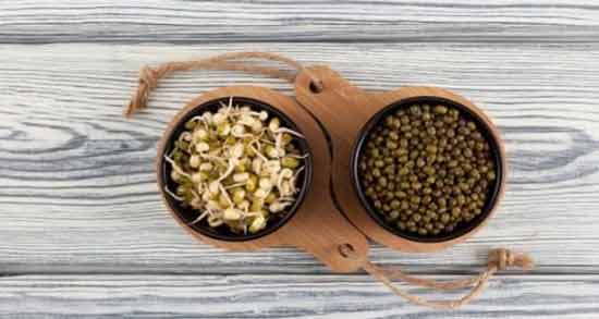 طبع جوانه ماش چیست ؛ آشنایی با خواص درمانی و طبع جوانه ماش