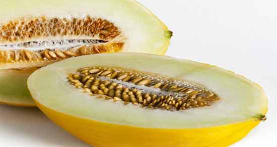 طبع خربزه سرد است ؛ طبیعت خربزه سرد است یا گرم؟