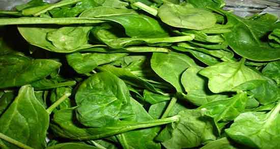 طبع خورشت اسفناج ؛ خاصیت و طبع خورشت اسفناج برای بدن چیست