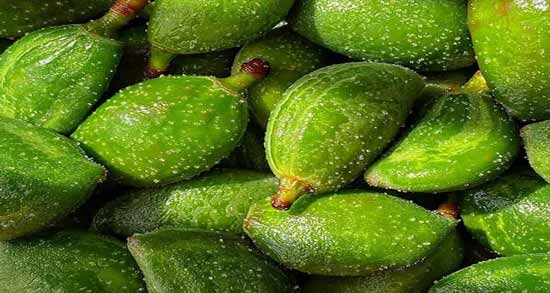 طرز استفاده از چغاله بادام ؛ روش صحیح استفاده از چغاله بادام چگونه است