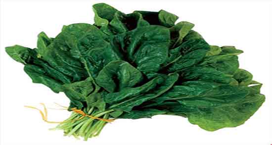 طرز تهیه اسفناج و ماست ؛ دستور تهیه اسفناج و ماست برای وعده غذایی