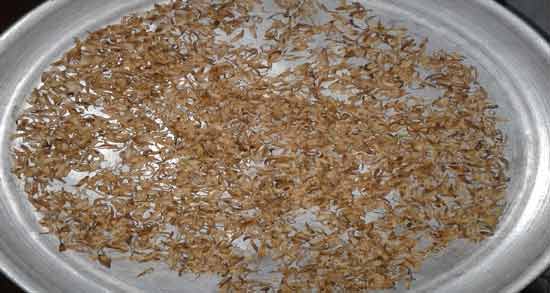طرز تهیه بهار نارنج خشک ؛ آموزش درست کردن بهار نارنج خشک