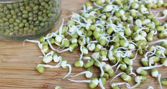 طرز تهیه جوانه ماش نی نی سایت ؛ آموزش درست کردن جوانه ماش در منزل