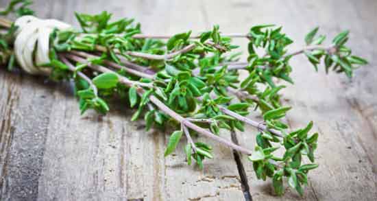 طرز تهیه دمنوش آویشن برای گلو درد ؛ درمان خانگی گلو درد با خوردن دمنوش آویشن